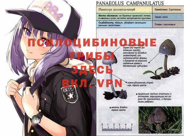 мет Новосибирск