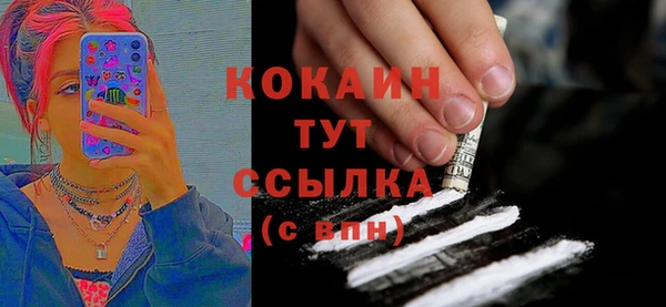 гидра Липки